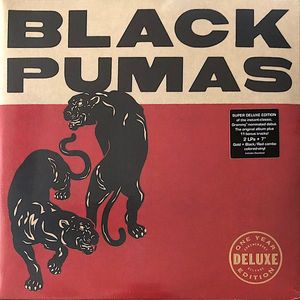 Black Pumas by Black Pumas