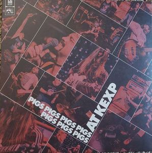 Pigs Pigs Pigs Pigs Pigs Pigs Pigs – Live at KEXP