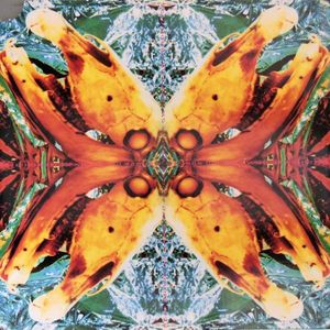 No Name, No Slogan cover