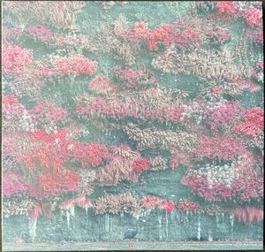 Even In Arcadia  cover