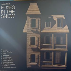 Foxes In The Snow cover