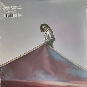 My Light, My Destroyer cover