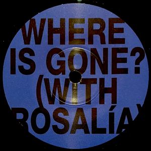 Fontaines D.C. With Rosalía – Where Is Gone?