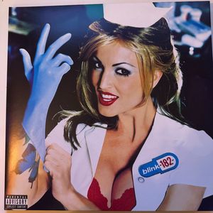Enema Of The State cover