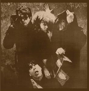 The Last Record II (Tränsylvåñan Täpes MCMLXXVIII) by The Cramps
