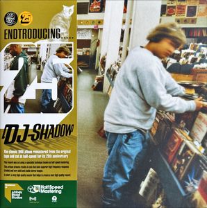 Endtroducing..... cover