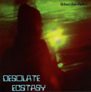Desolate Ecstasy by Schizo Fun Addict