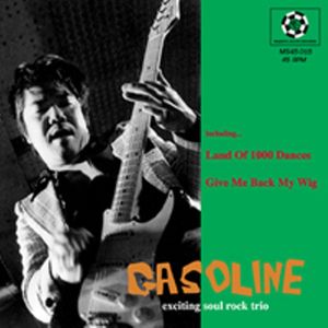 Land Of 1000 Dances cover