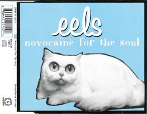 Eels – Novocaine For The Soul