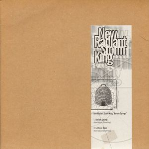 Barium Springs / Leftover Blues by New Radiant Storm King