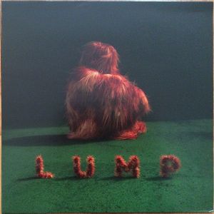 Lump cover
