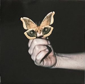 All Systems Are Lying cover