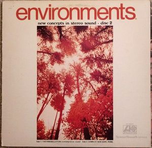 Environments (New Concepts In Stereo Sound) (Disc 2) cover