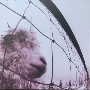 Vs. by Pearl Jam