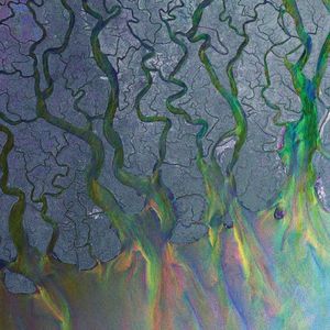 An Awesome Wave by Alt-J