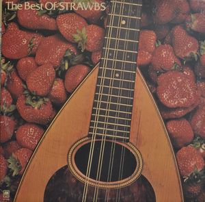 The Best Of Strawbs cover