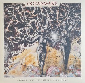 Lights Flashing In Mute Scenery cover