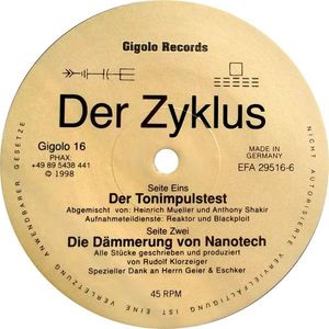 Der Tonimpulstest cover