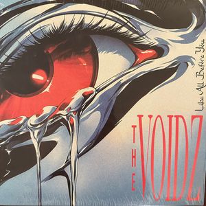 Like All Before You by The Voidz