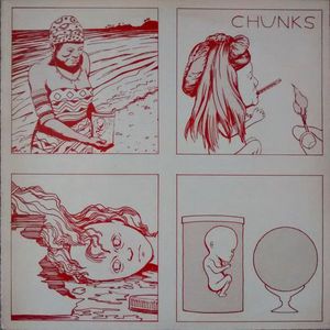 Chunks cover