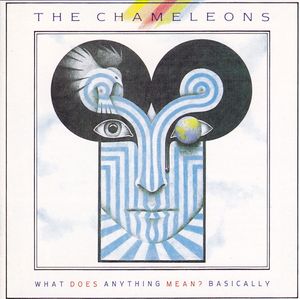 The Chameleons – What Does Anything Mean?  Basically