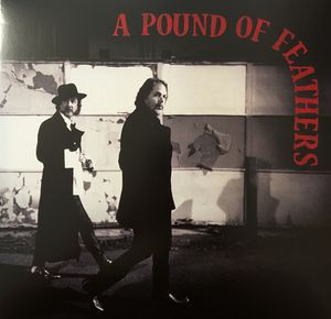 A Pound Of Feathers cover