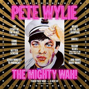 Teach Yself WAH! - A Best of Pete Wylie & The Mighty WAH! cover