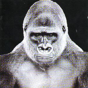 The Screaming Jets cover