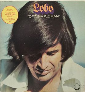 Of A Simple Man cover