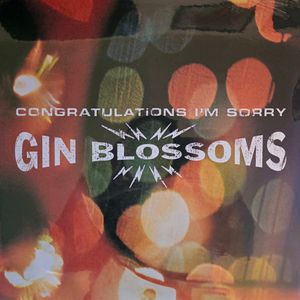 Congratulations I'm Sorry cover