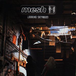Looking Skyward by Mesh