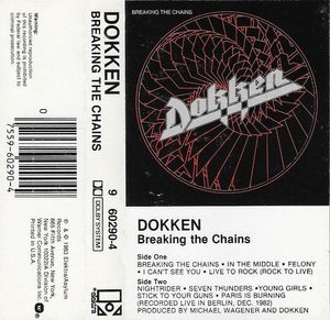 Breaking The Chains cover