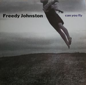 Can You Fly cover