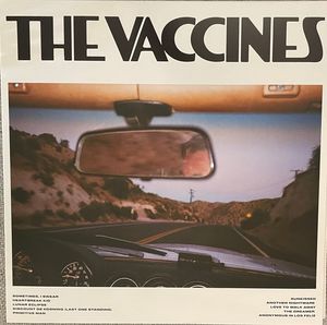 Pick-Up Full Of Pink Carnations cover