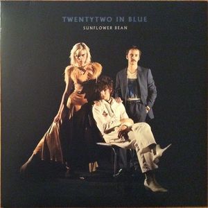Twentytwo In Blue cover