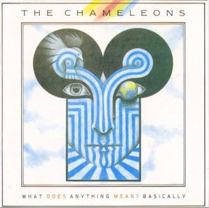 What Does Anything Mean?  Basically cover