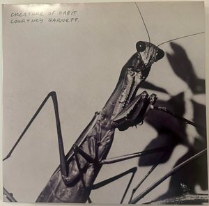 Courtney Barnett – Creature Of Habit
