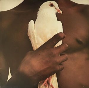 Santana's Greatest Hits cover