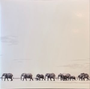 Where Are You Going: The Singles cover