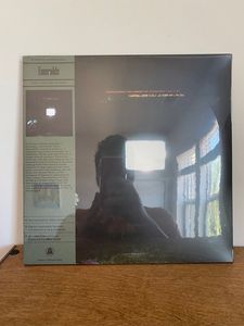 Does It Look Like I'm Here? cover