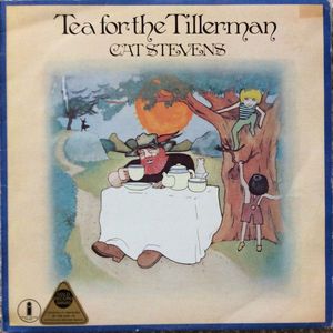 Tea For The Tillerman by Cat Stevens