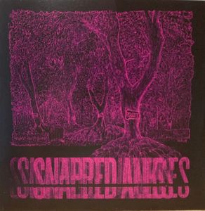Forest Of Your Problems (Parasite Sessions) by Snapped Ankles