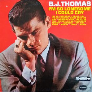 I'm So Lonesome I Could Cry cover