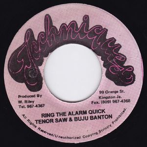 Ring The Alarm Quick cover