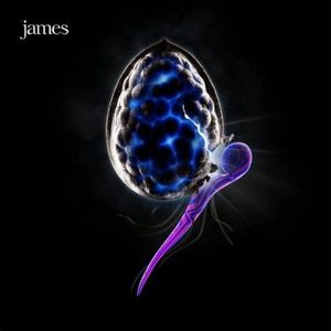 James – The Night Before
