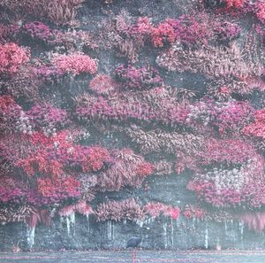 Even In Arcadia cover