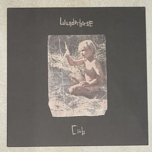 Wunderhorse – Cub
