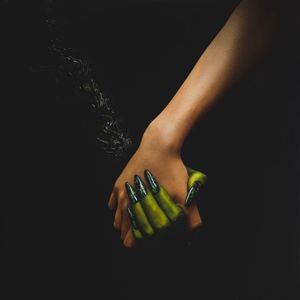 Wicked (The Soundtrack) cover