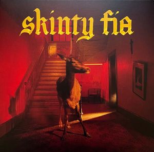 Skinty Fia by Fontaines D.C.
