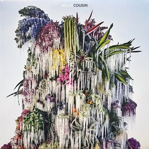 Wilco – Cousin